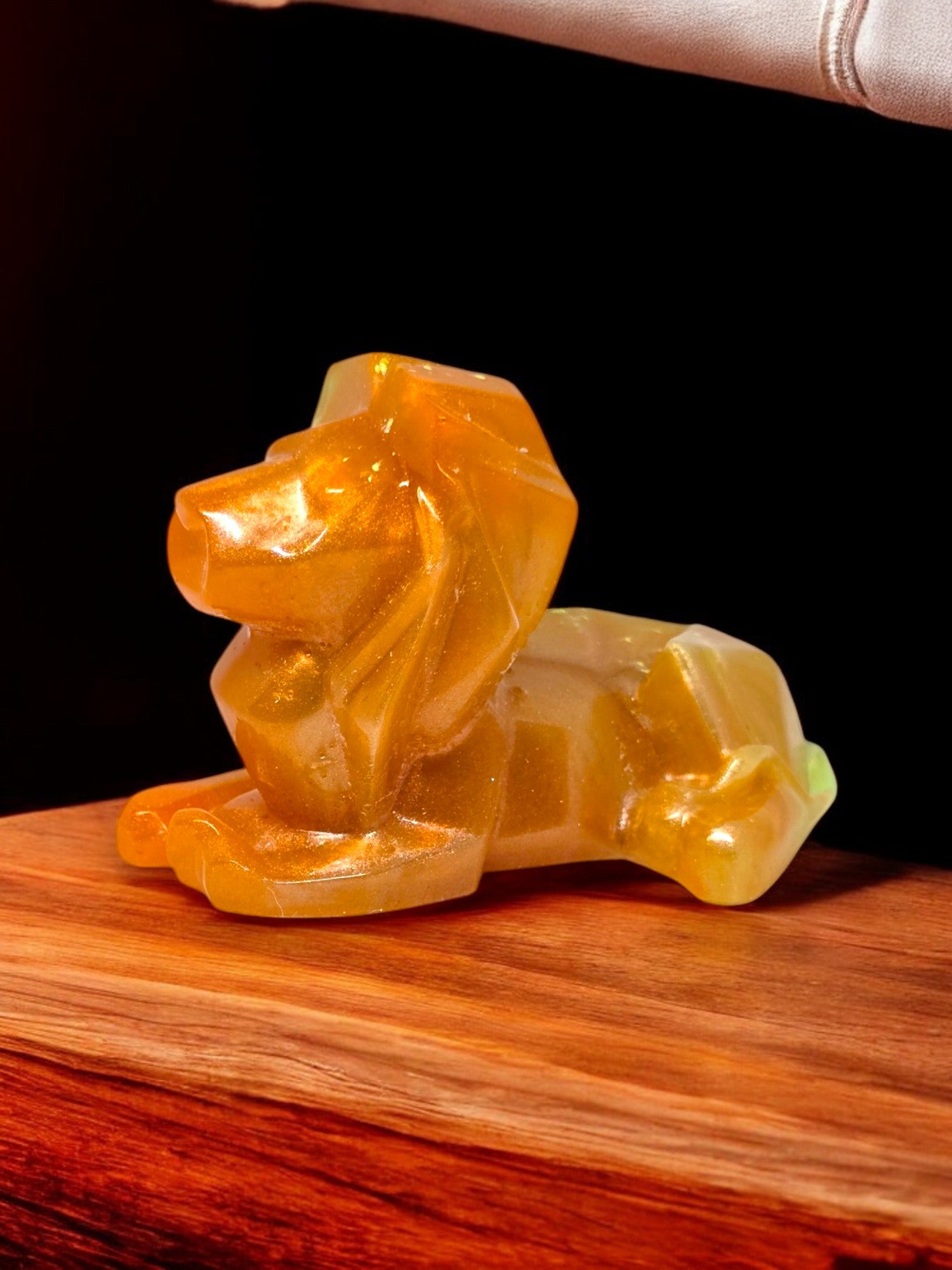 Lion Résine Epoxy