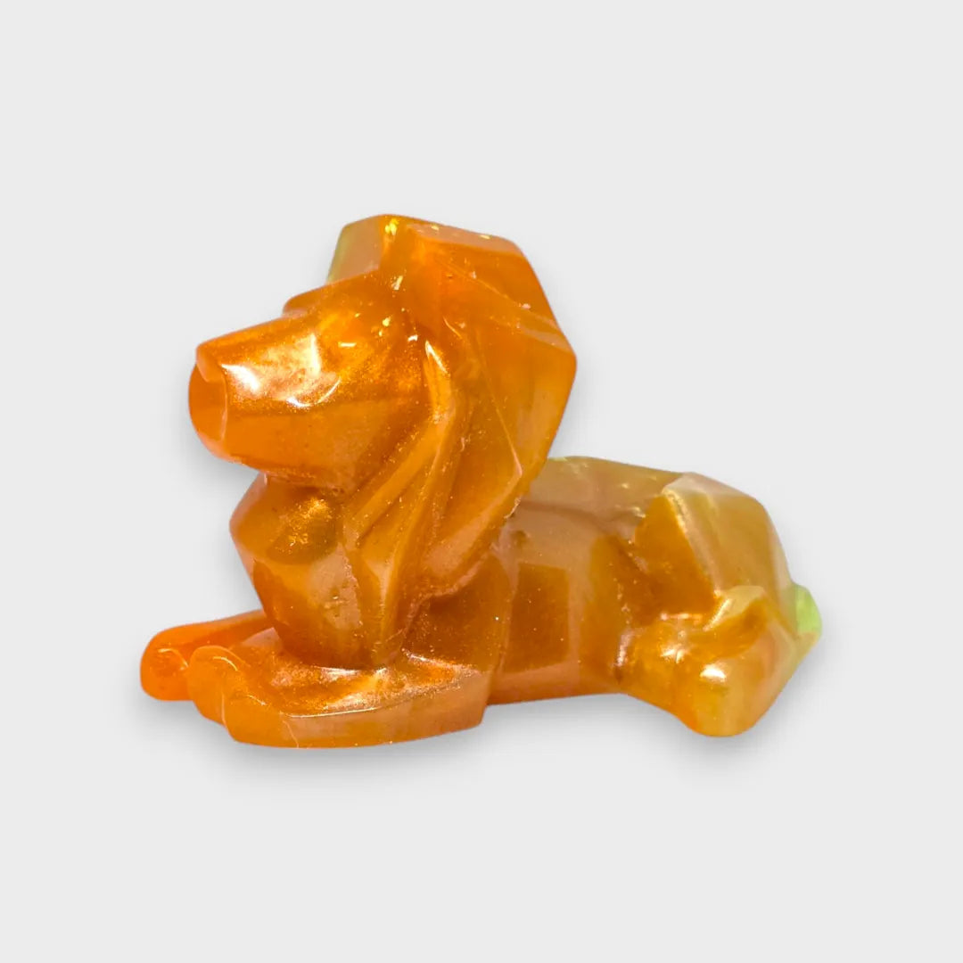 Lion Résine Epoxy
