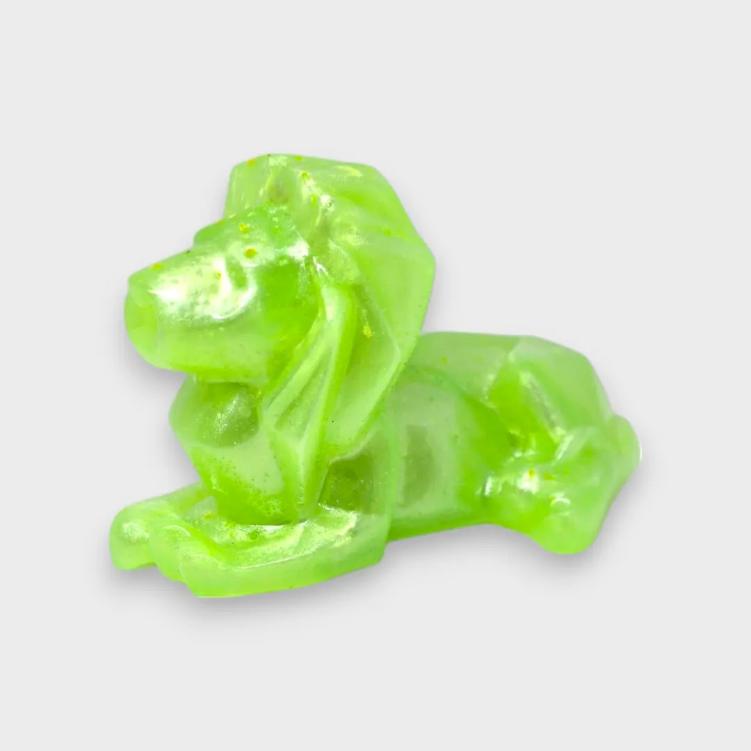 Lion Résine Epoxy