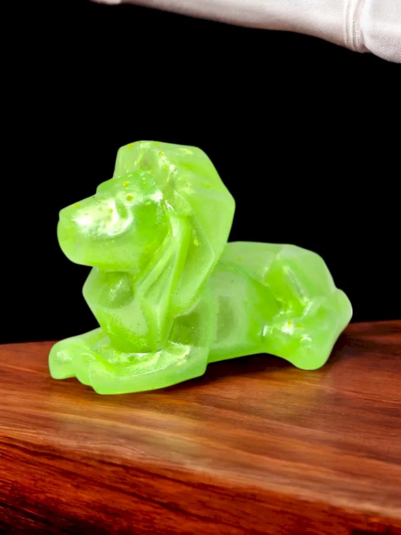 Lion Résine Epoxy