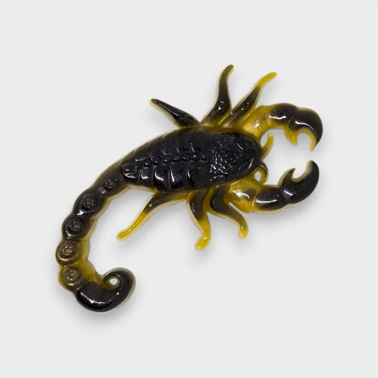 Magnet Scorpion Artisanale en Résine Époxy